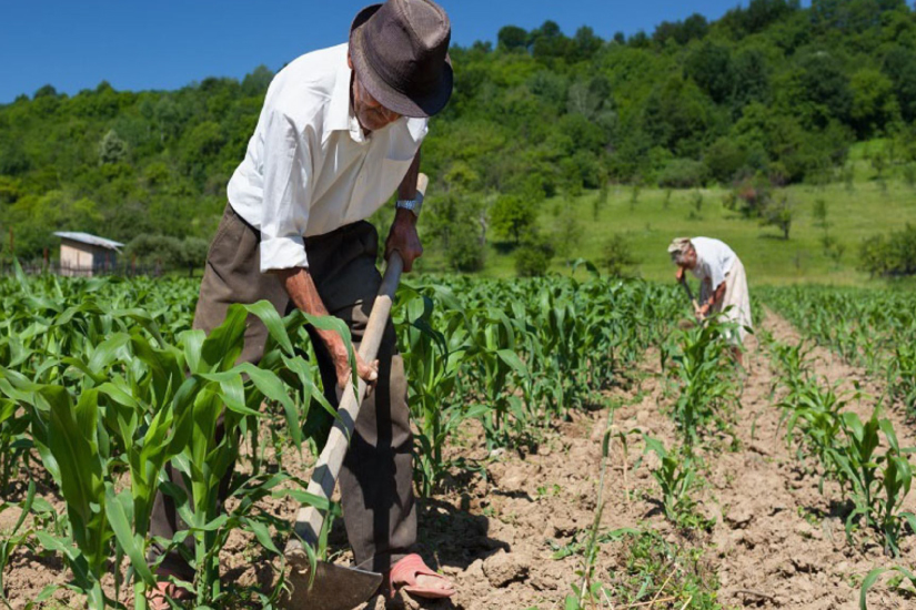 MYCAL: Entrevista de la revista AgroExportaciones & Medio ambiente