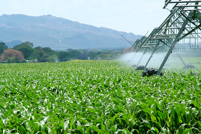 SIAGRO NORTE 2019