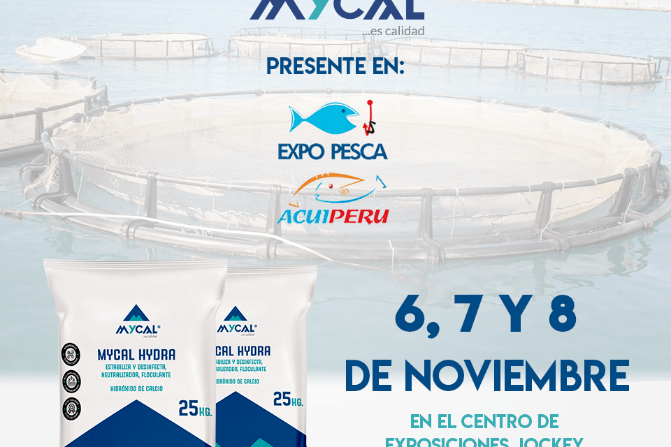 post-EXPOpesca-2019 (1)