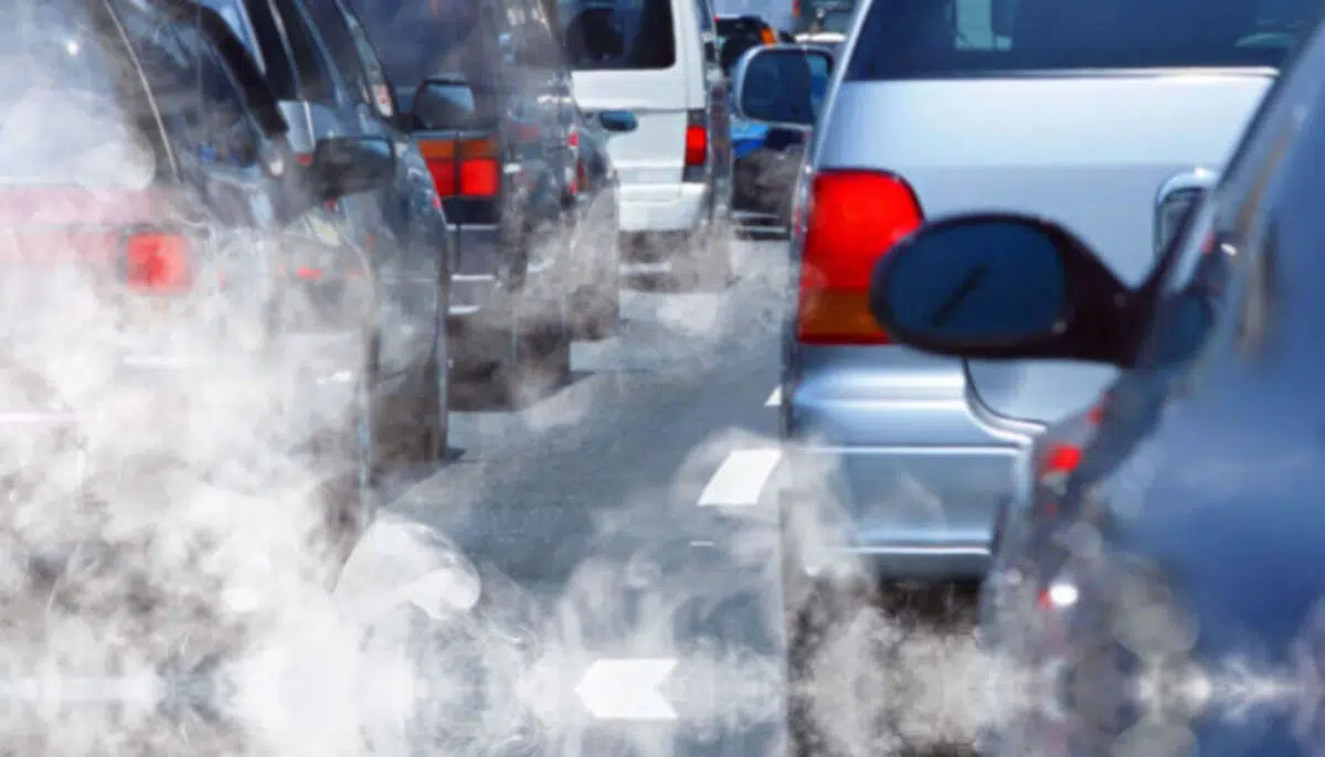 Contaminación exógena