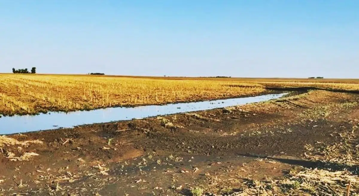 Contaminación por infiltración