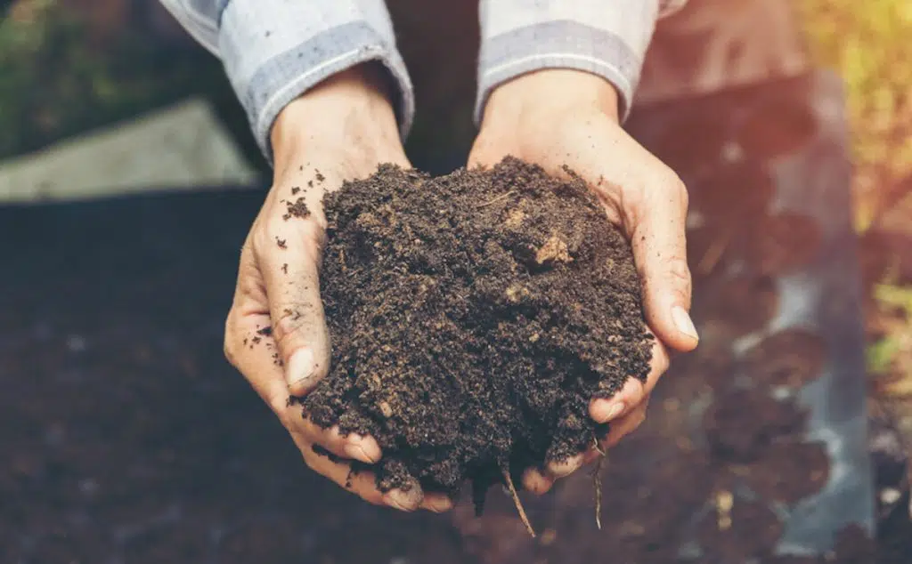 Tipos de contaminación del suelo