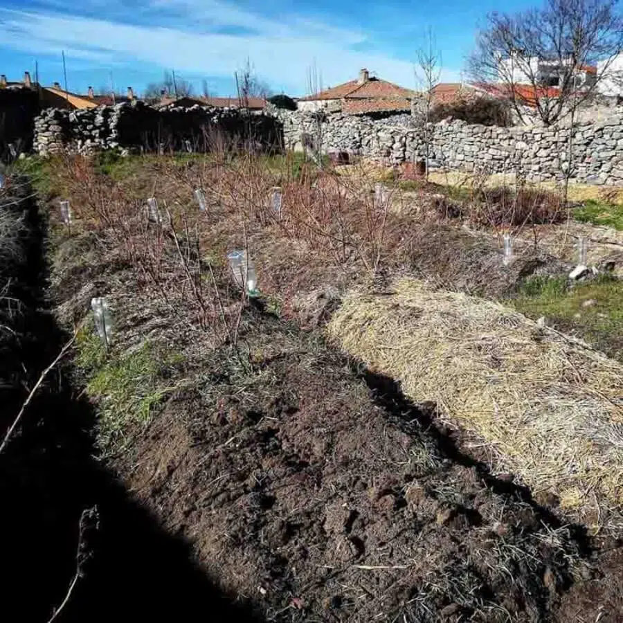 ¿Por qué es importante la conservación de los suelos?