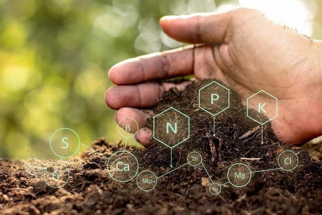 Composición del suelo.