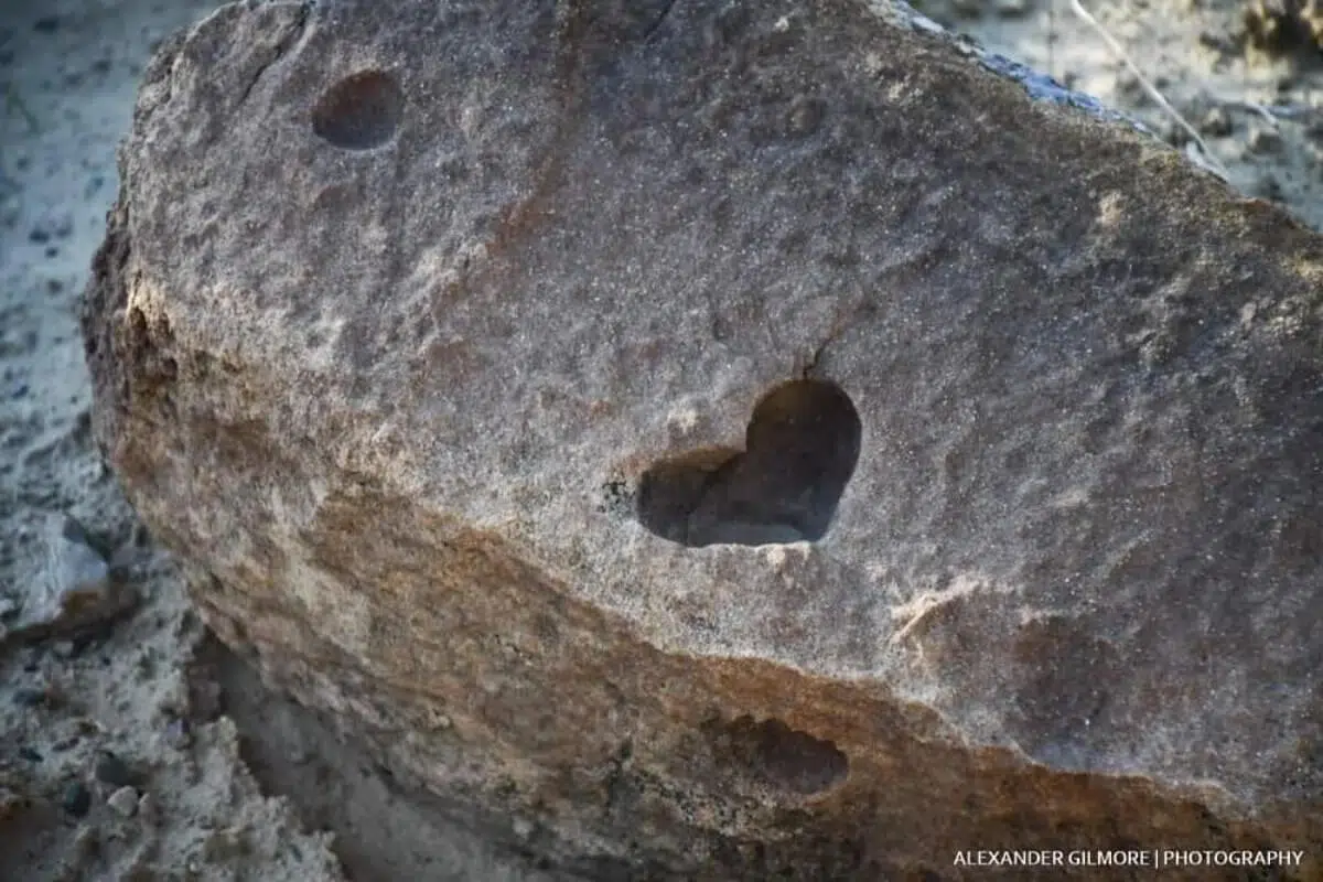 Importancia de la materia orgánica en el suelo.