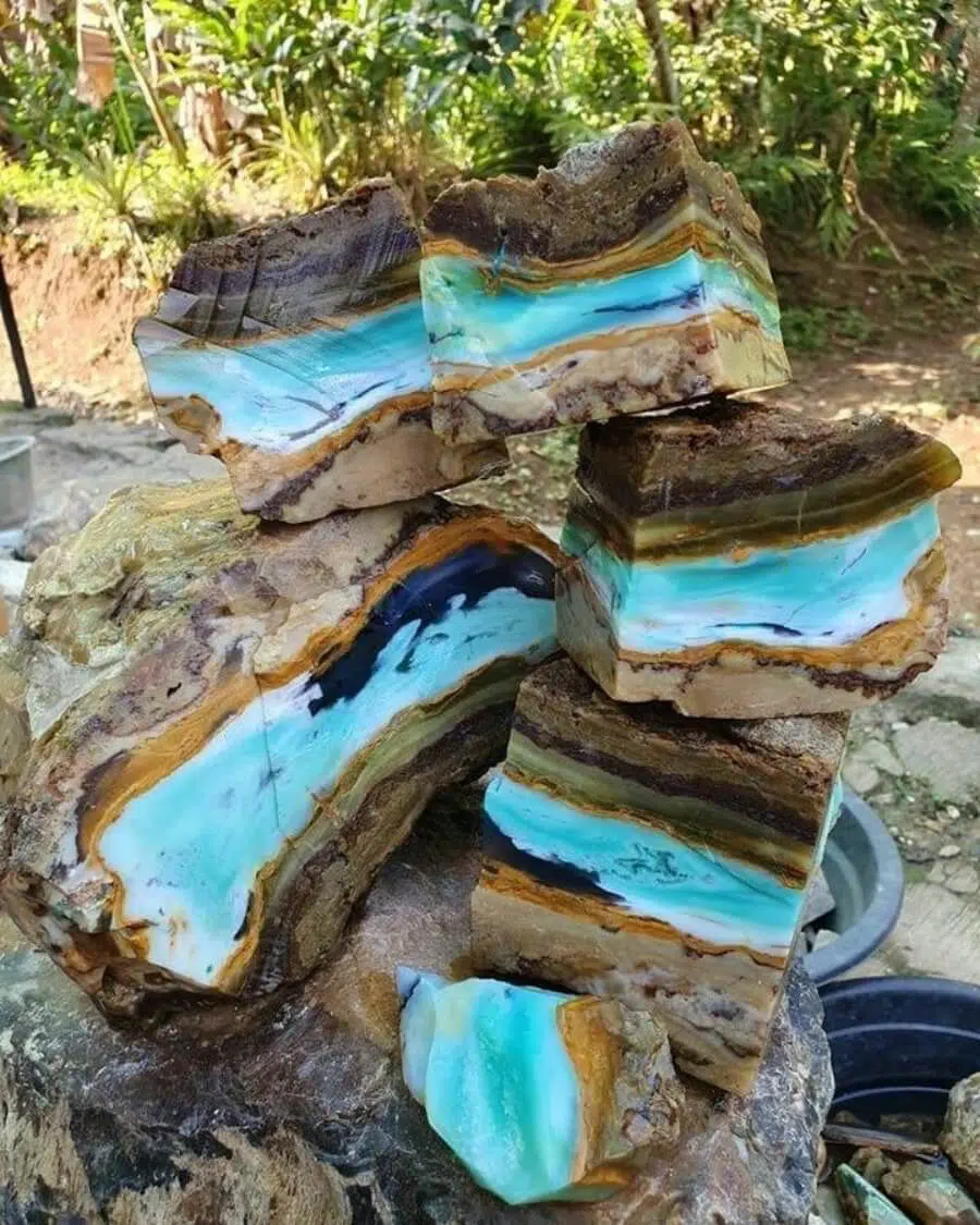 Composición del suelo.