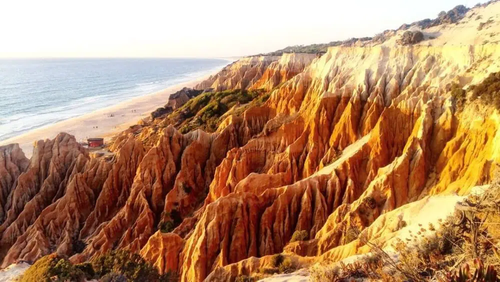 Composición del suelo.