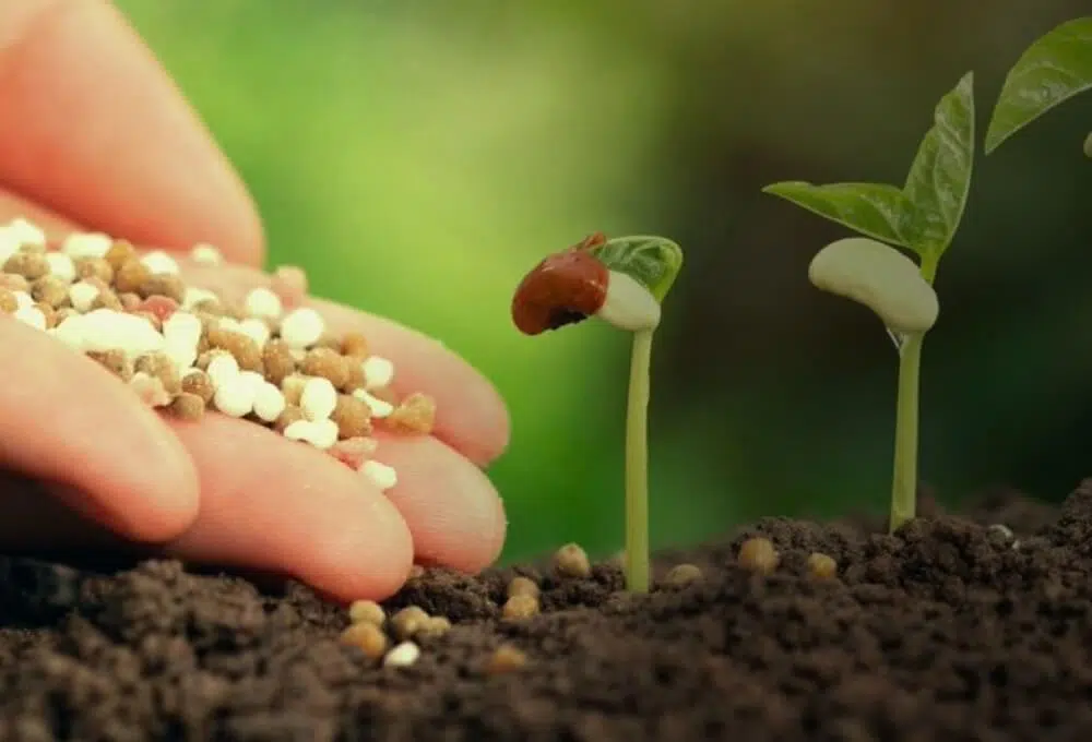 Importancia de los minerales en la agricultura.
