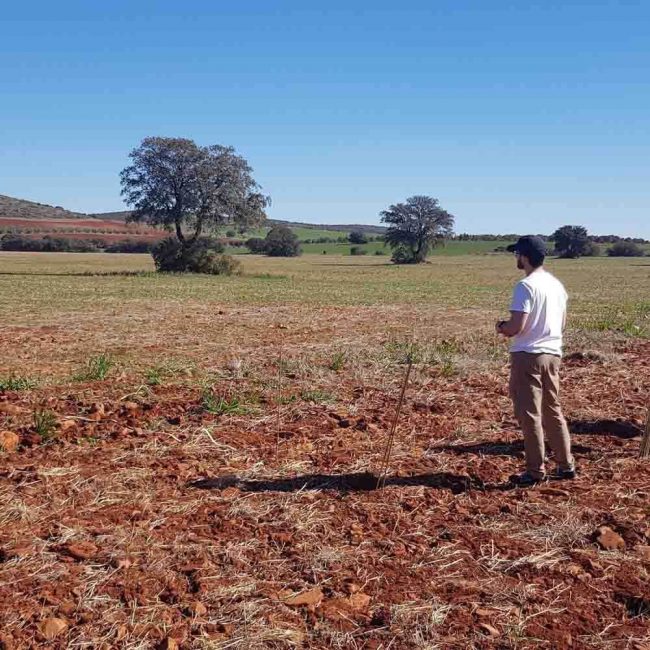 ¿Por qué es importante la conservación de los suelos?